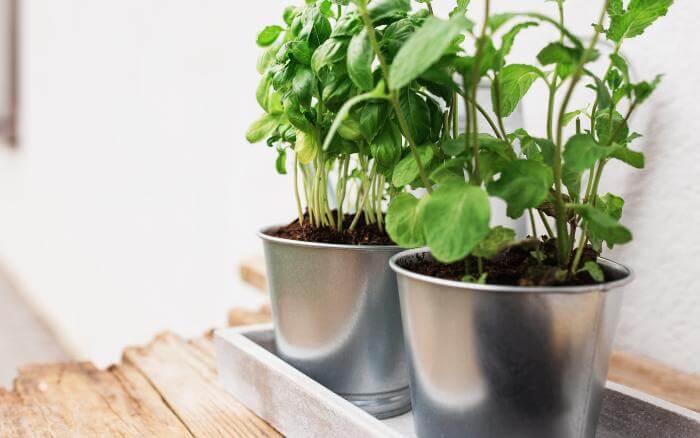 vasos-de-metal-usados-na-decoracao-com-plantas-em-area-interna