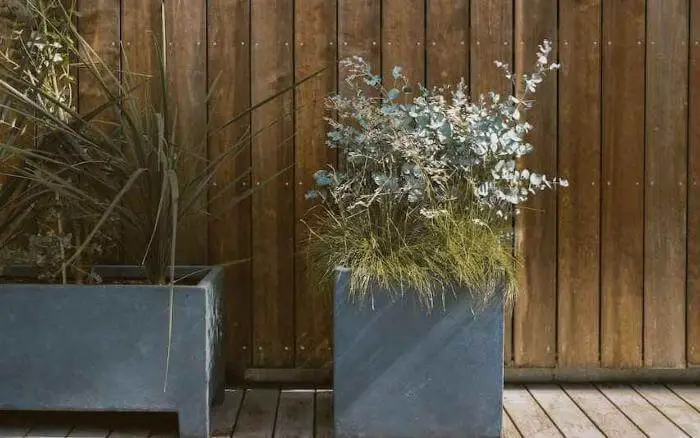 vasos-de-pedra-usados-no-cultivo-de-plantas-em-area-externa