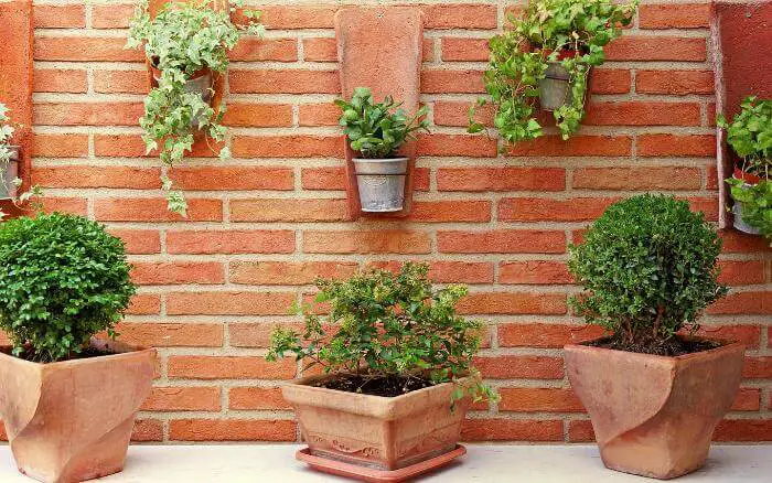 vaso-de-cimento-para-plantas-decorando-ambiente-externo