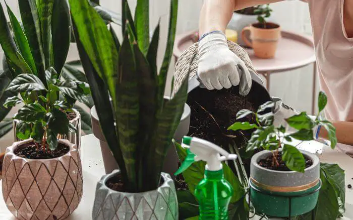 vasos-de-polietileno-com-tamanhos-texturas-e-cores-diferentes-sobre-um-balcao-e-uma-pessoa-plantando-neles