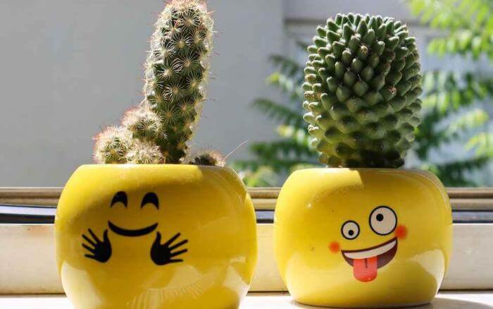 cachepot-de-ceramica-esmaltada-amarelo-com-rosto-feliz-desenhado-com-vaso-pequeno-de-cacto-dentro