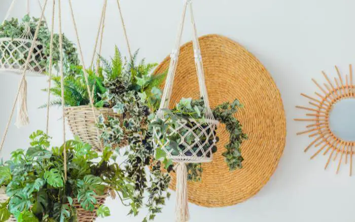 vasos-suspensos-com-plantas-pendentes-em-area-interna-rica-em-luz-natural-e-decoracao-estilo-clean