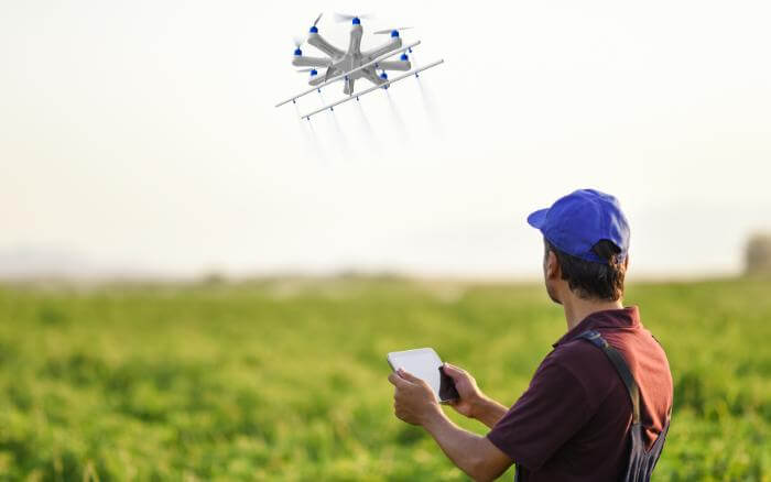 cultivo-de-quiabo-sendo-monitorado-para-prevencao-da-doenca-murcha-de-fusario