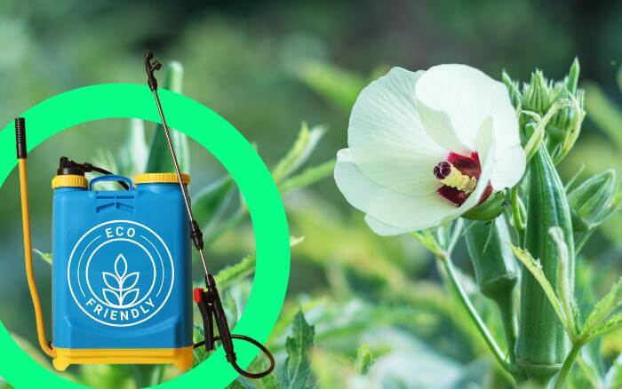 Quiabeiro-com-flor-e-pulverizador-de-solucao-eco-friendly