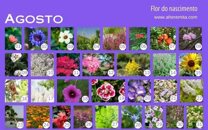 Tradições Asiáticas. flores-que-representam-os-dias-do-mes-de-agosto-organizados-em-um-calendario-segundo-a-cultura-coreana