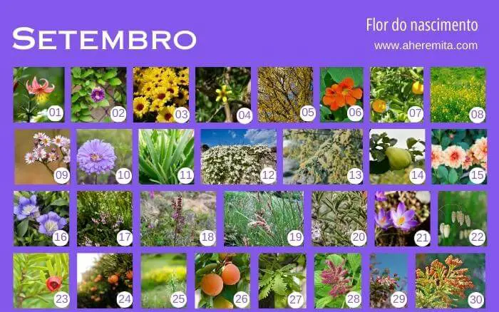 Cultura da Ásia. flores-que-representam-os-dias-do-mes-de-setembro-organizados-em-um-calendario-segundo-a-cultura-coreana