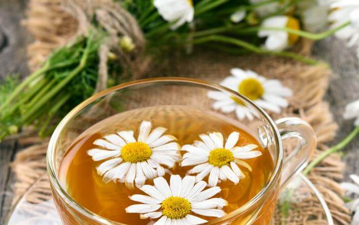 Ervas-que-combatem-os-sintomas-da-TPM Erva e chá de camomila, com flores frescas.