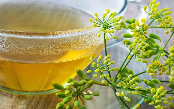 Ervas-que-combatem-os-sintomas-da-TPM Chá de erva doce, e ramo da mesma erva.