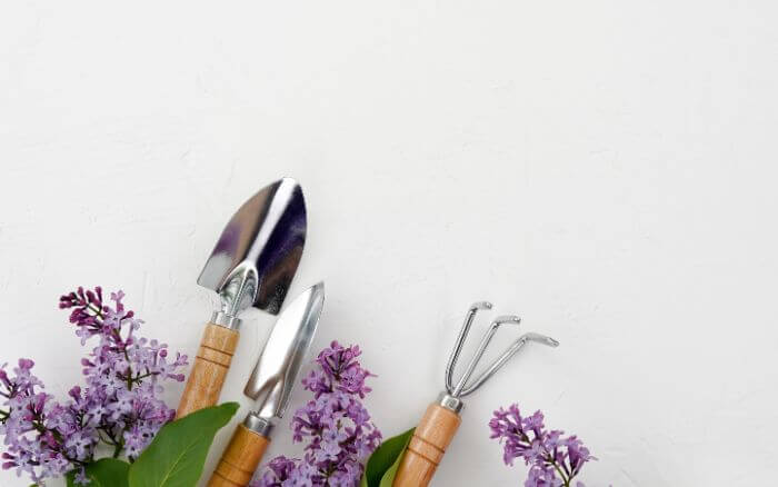 As ferramentas manuais de jardinagem são essenciais e facilitam os cuidados básicos com o jardim. ferramentas-manuais-de jardinagem-pa-colher-de-jardim-e-rastelo