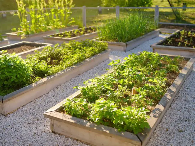 horta-elevada-de-ervas-e-temperos-com-drenagem-para-o-exesso-de-agua-da-rega-feito-com-brita