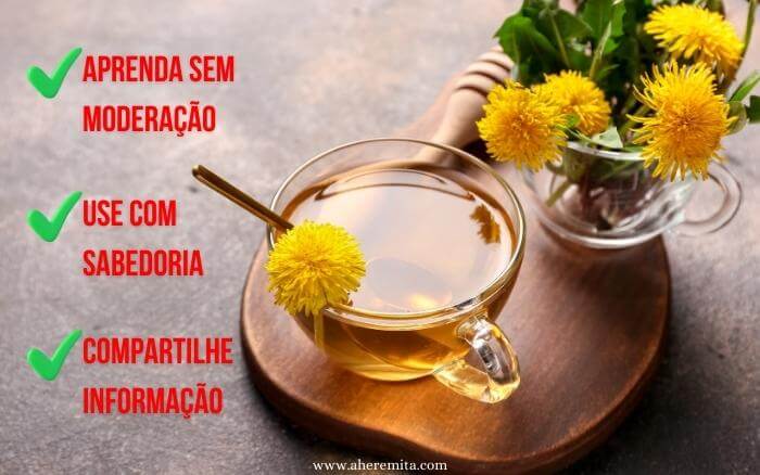 As plantas medicinais são uma alternativa natural e eficaz para cuidar da saúde. Chá preparado com plantas medicinais em xícara sobre mesa de madeira.