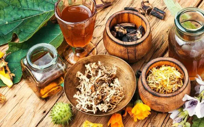 Os fitoterápicos são medicamentos à base de plantas. Ervas e plantas medicinais, que são ingredientes tradicionais de medicamentos fitoterápicos sendo usadas no preparo de remédios caseiros.