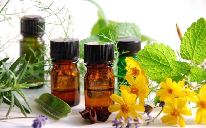 Plantas medicinais são espécies de plantas com propriedades curativas. Plantas medicinais como alecrim, erva-doce e hortelã sobre uma mesa ao lado de frascos de medicamentos fitoterápicos.