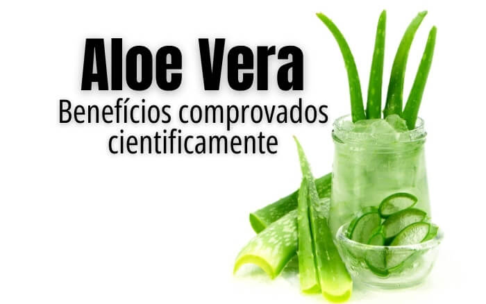 Imagem de Folhas de Aloe Vera em recipiente incolor sobre fundo branco, fazendo alusão a os estudos científicos sobre os benefícios do gel da Babosa.