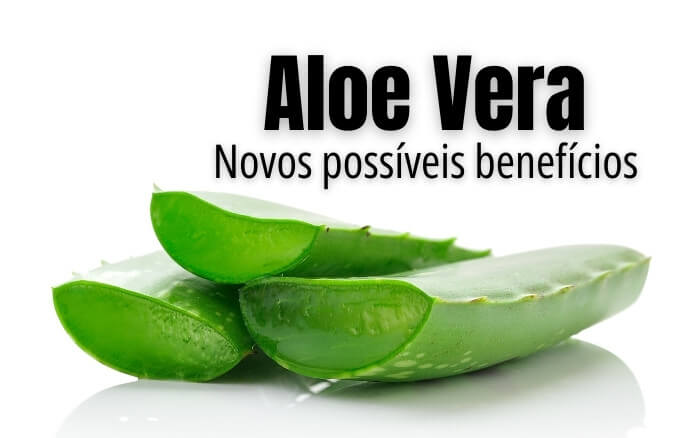 Imagem da planta Aloe Vera sobre fundo branco, com texto: Aloe Vera novos possíveis benefícios. Fazendo alusão as pesquisas que visão comprovar novos usos medicinais do gel da Babosa.