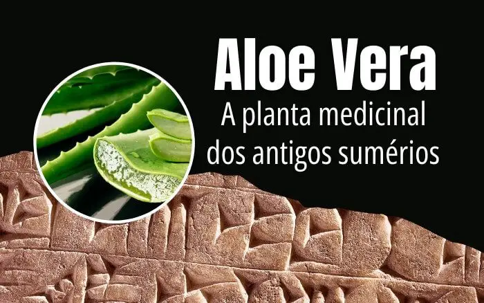 Propriedades benéficas e usos medicinais da Aloe Vera retratados nas Tábuas de Argila de Nippur.