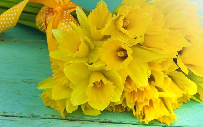 Buquê-de-Flores-Narcisos