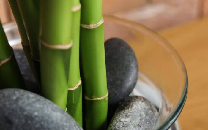 Preparação do recipiente para cultivo de bambu da sorte em água. Adicione pedras ou bolinhas de gude para suporte das hastes. Passos para preparar o recipiente para cultivo do bambu da sorte em água, incluindo adição de pedras ou bolinhas de gude para suporte das hastes.